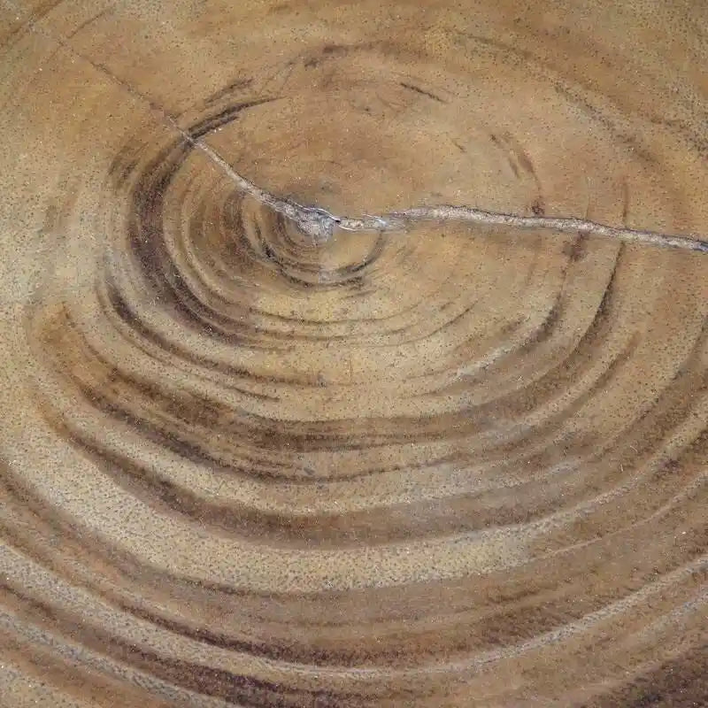 Natural Solid Acacia Wood Round End Table